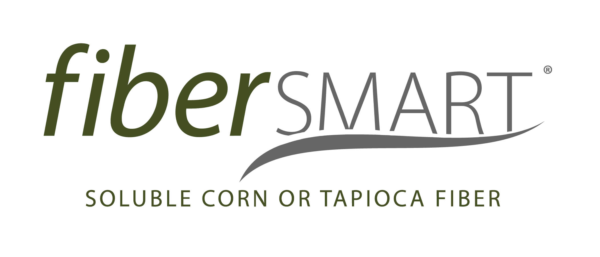 FiberSMART Logo